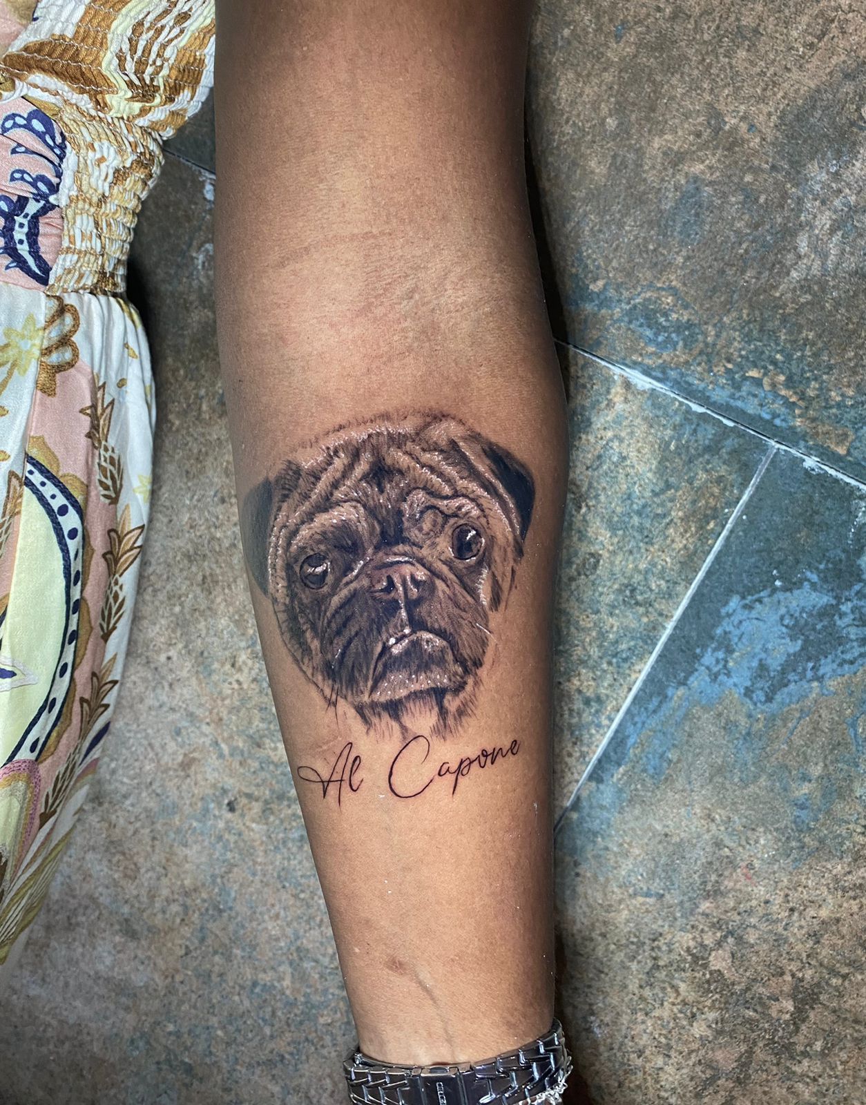 Folivora Tattoo - Anchieta - Image 1