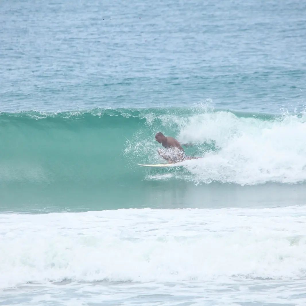 Evolua Surf - Image 7