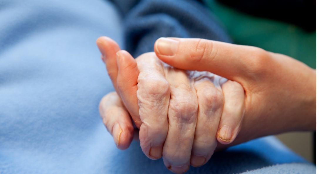 Luiza Carmo Fisioterapeuta | Home Care - Image 6