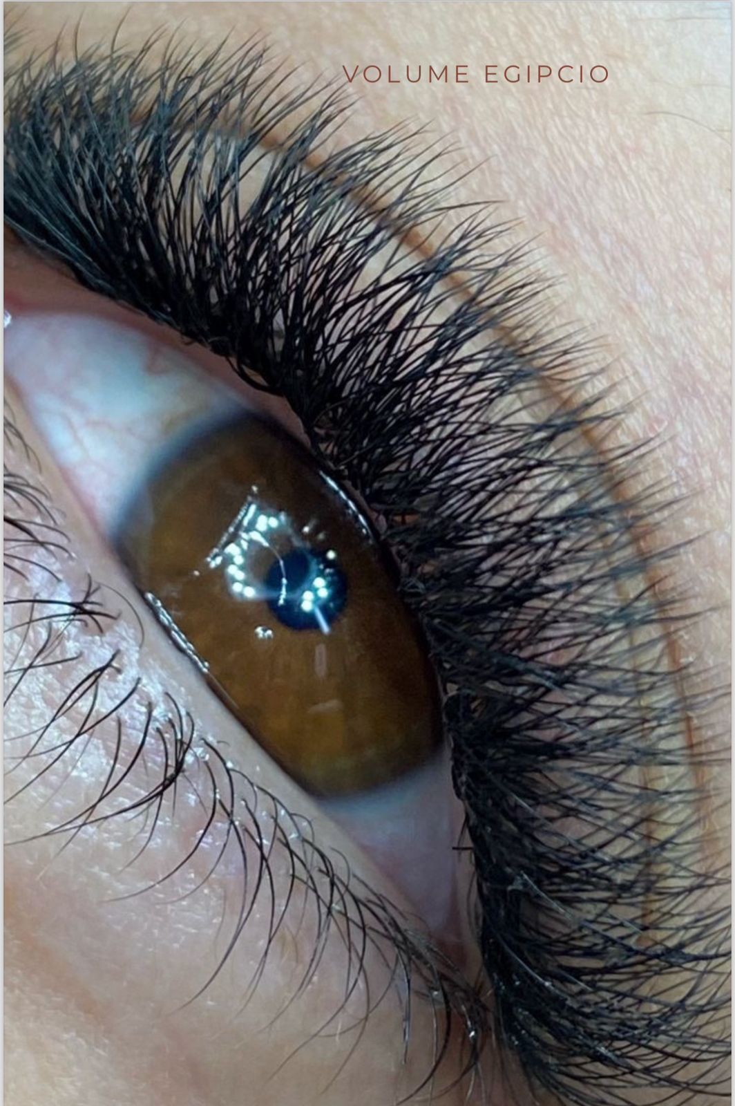 Lash Academy e Studio - Carolina Souza - Image 6