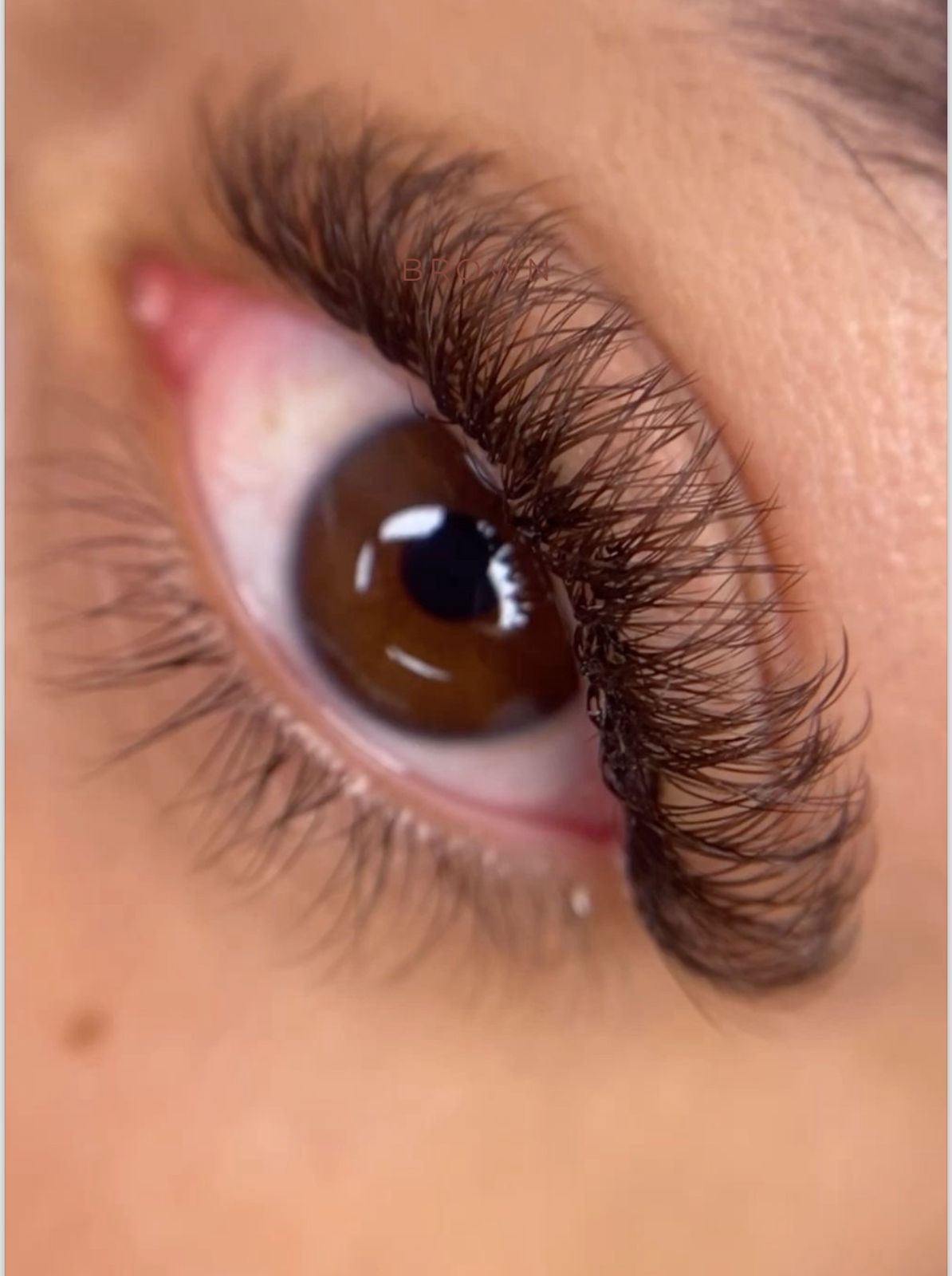 Lash Academy e Studio - Carolina Souza - Image 7