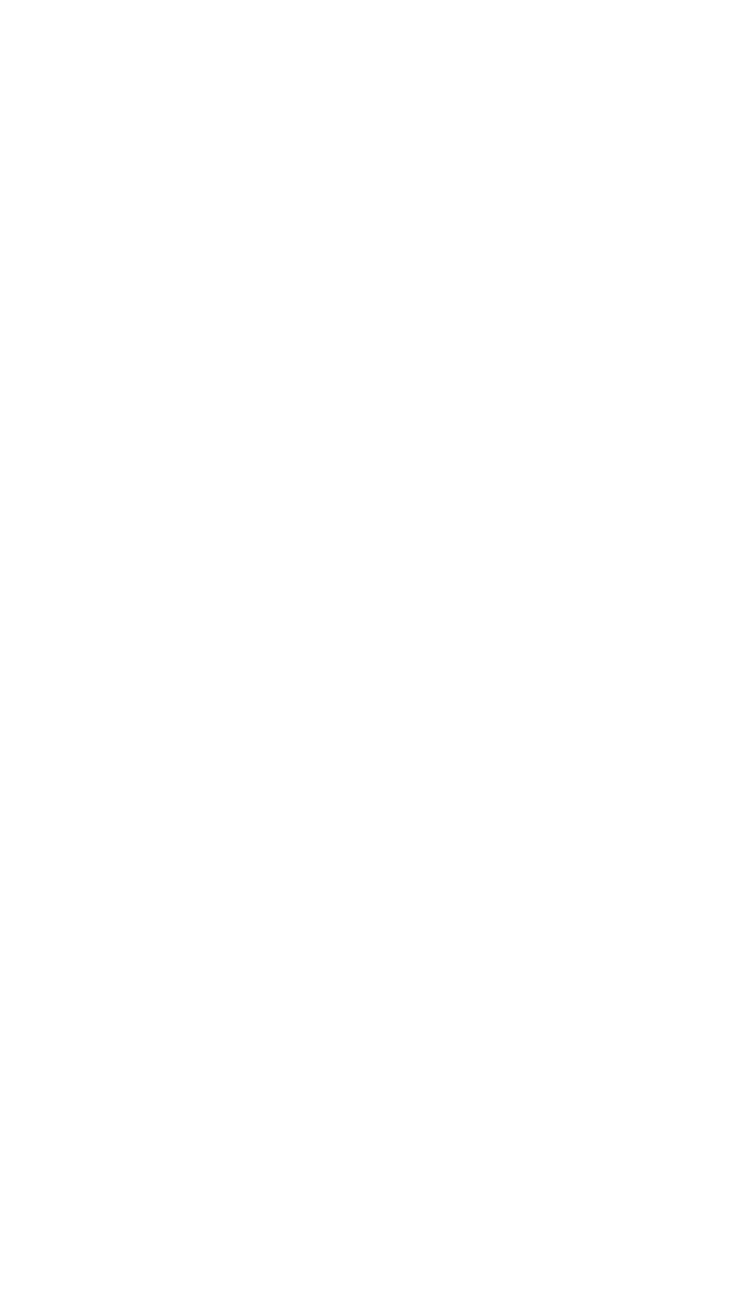 Ipanema Werner - Image 12
