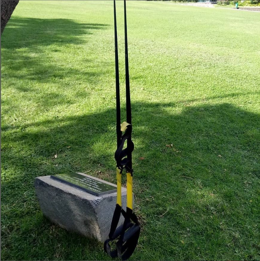 FC Personal Trainer - Image 4