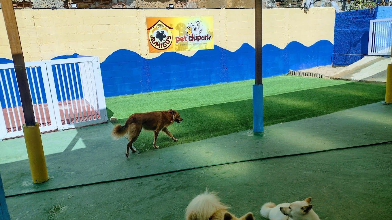 Pet Shop Hotel e Creche dos Aumigos - Image 16