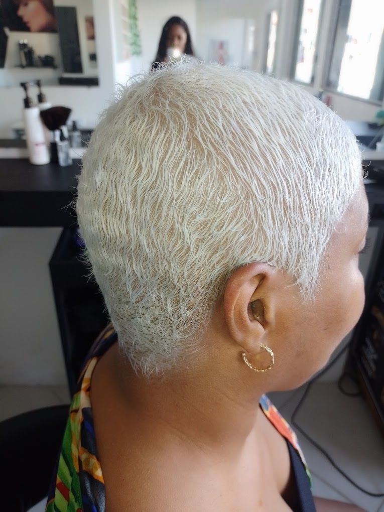 Estúdio Leoas - Image 14