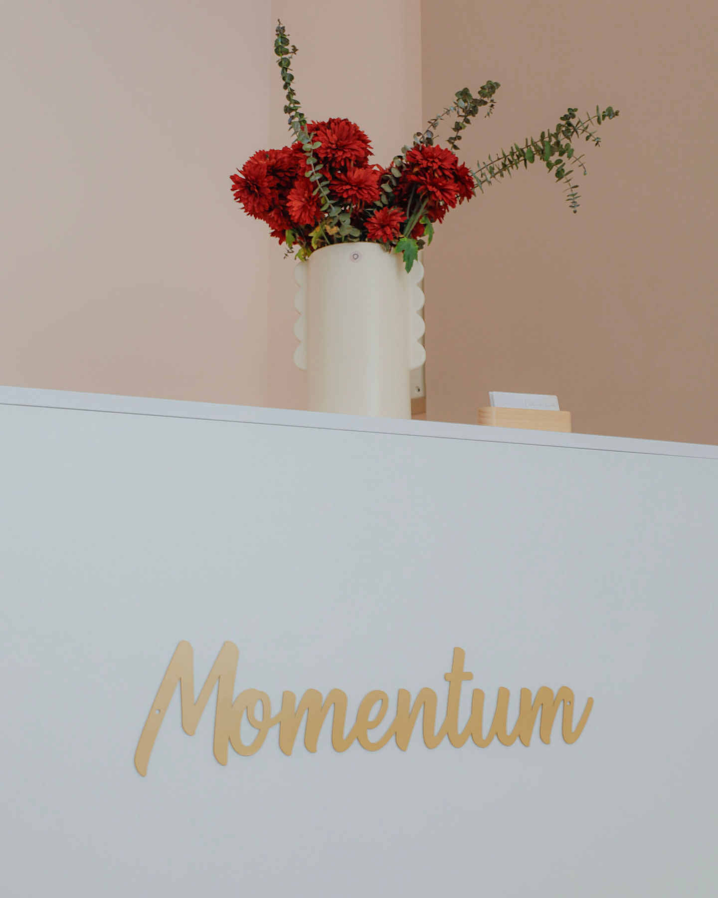 Momentum - Image 7