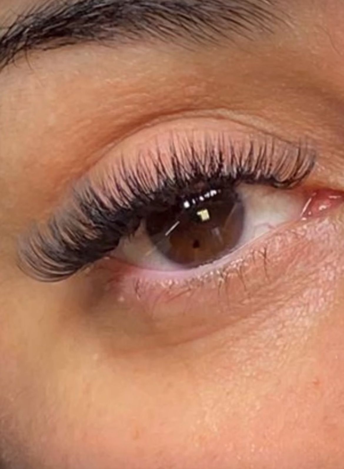Beauty Reflex - Image 6