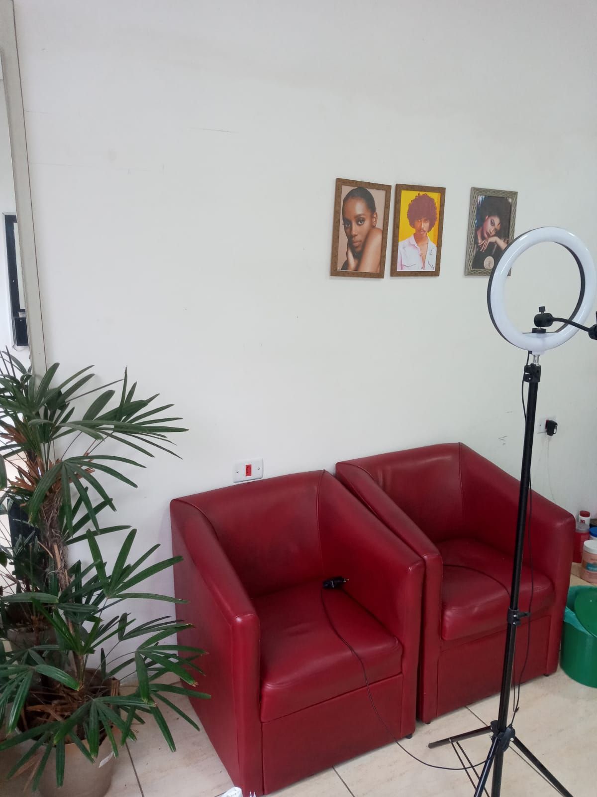 Afro Brasil - Salão Especializado em Cabelos Cacheados Afros e Crespos - Image 12