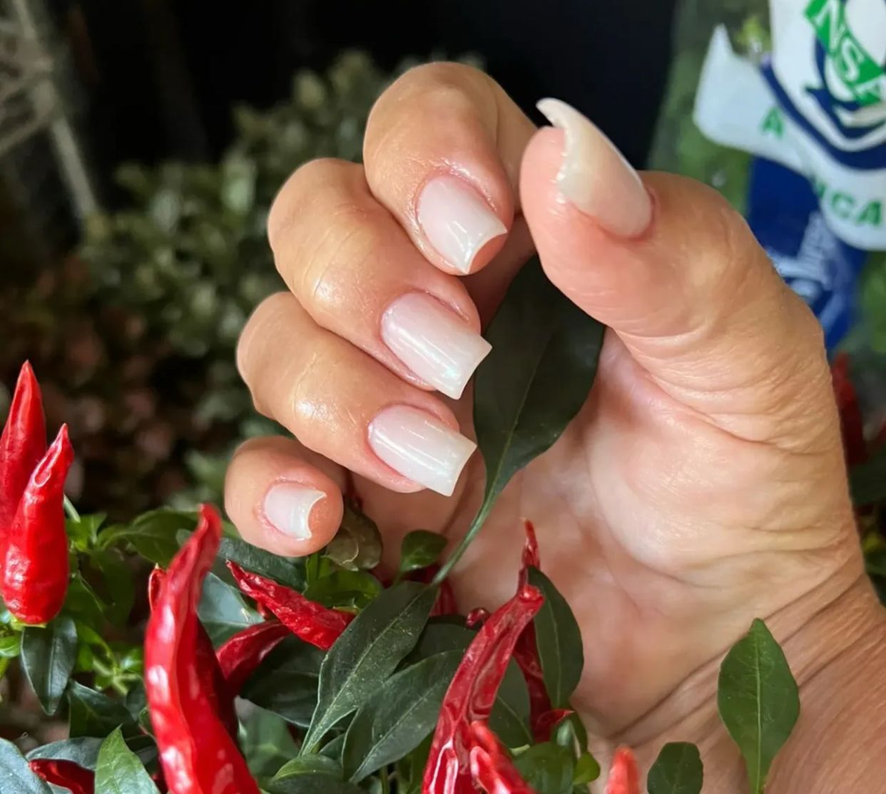 Mais Natural Mais Bonito