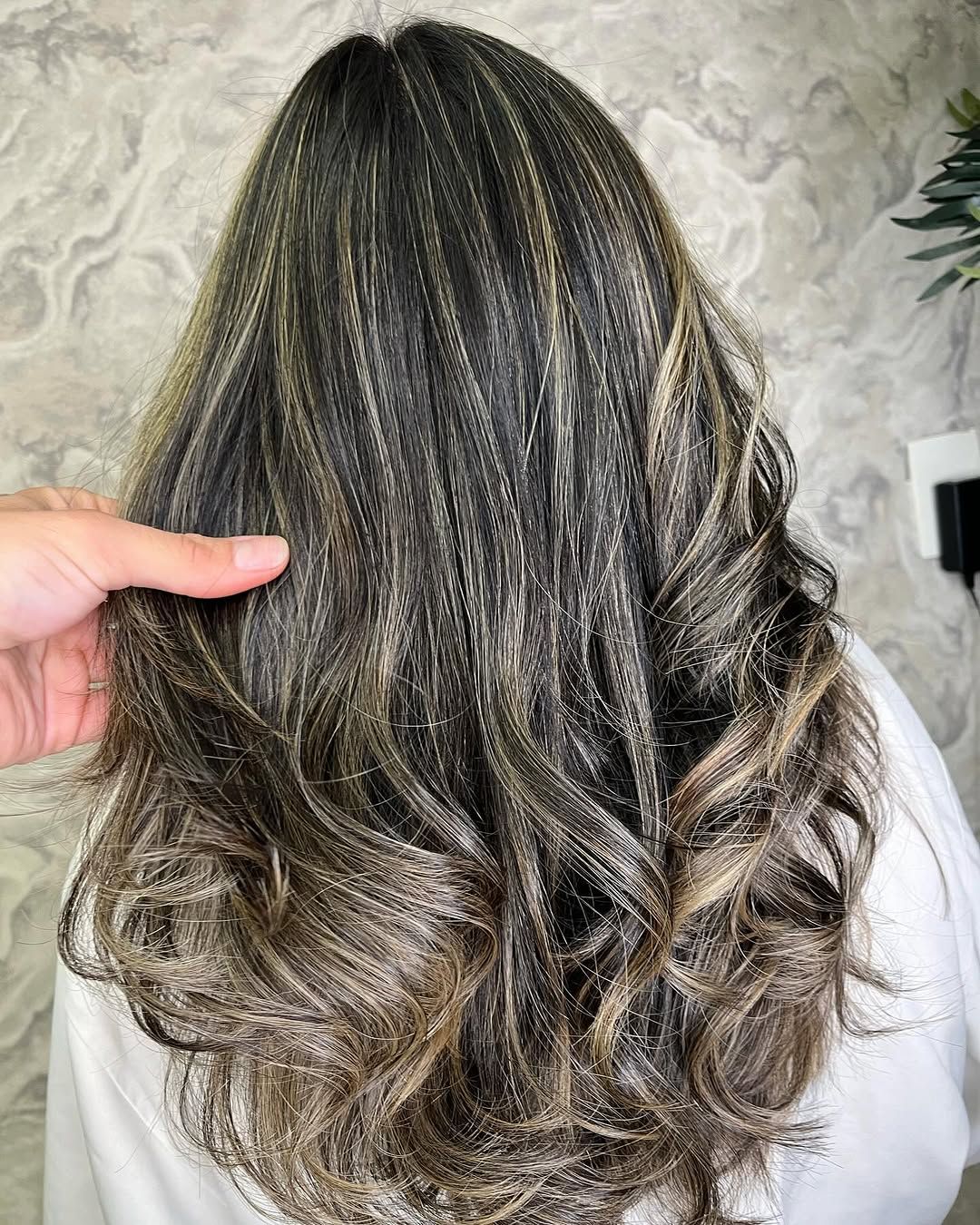 Werner Coiffeur | Casa Shopping - Image 18