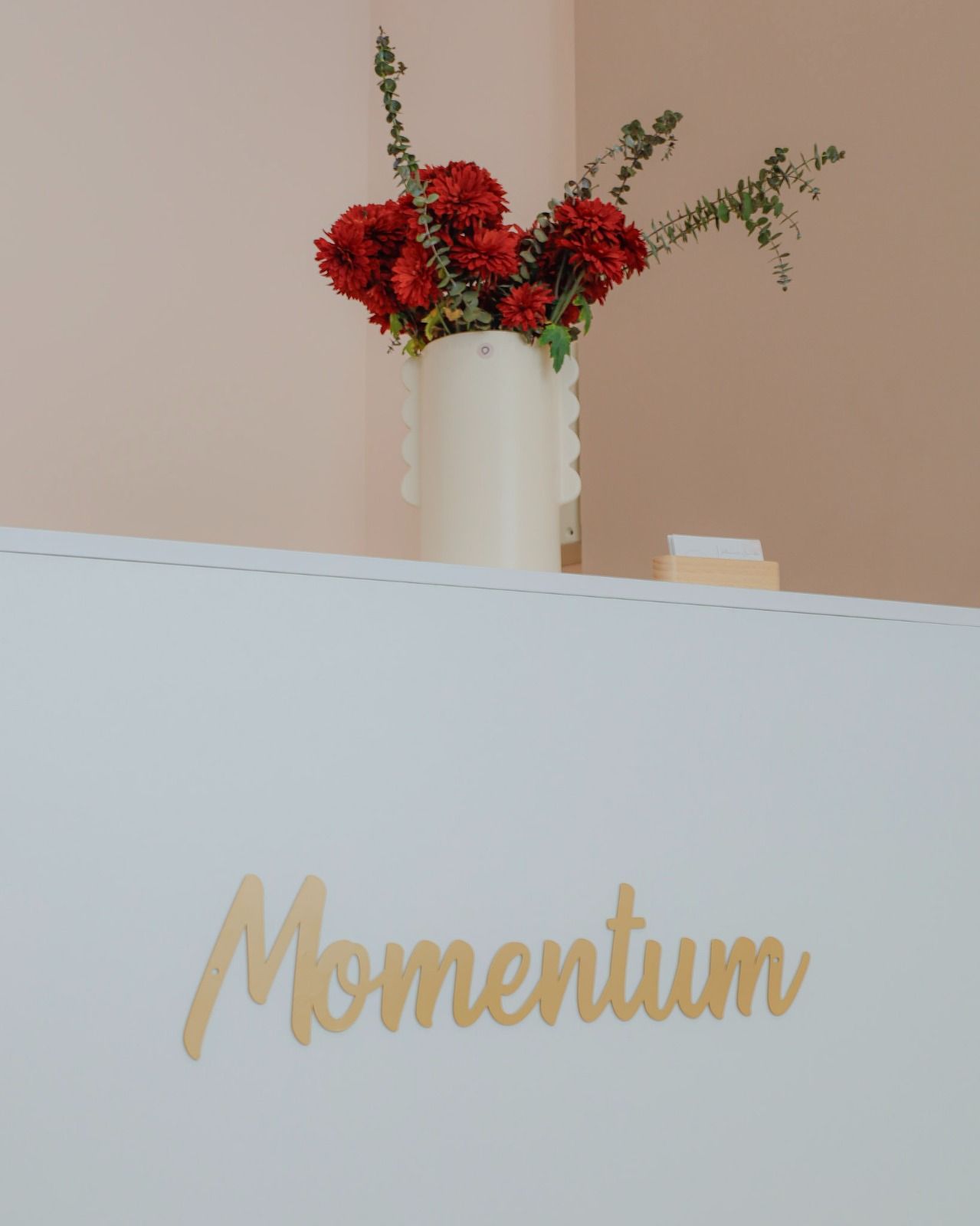 Momentum no LACS