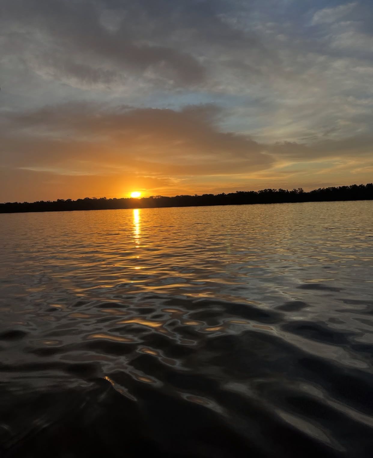 Amazon Star Turismo - Image 9