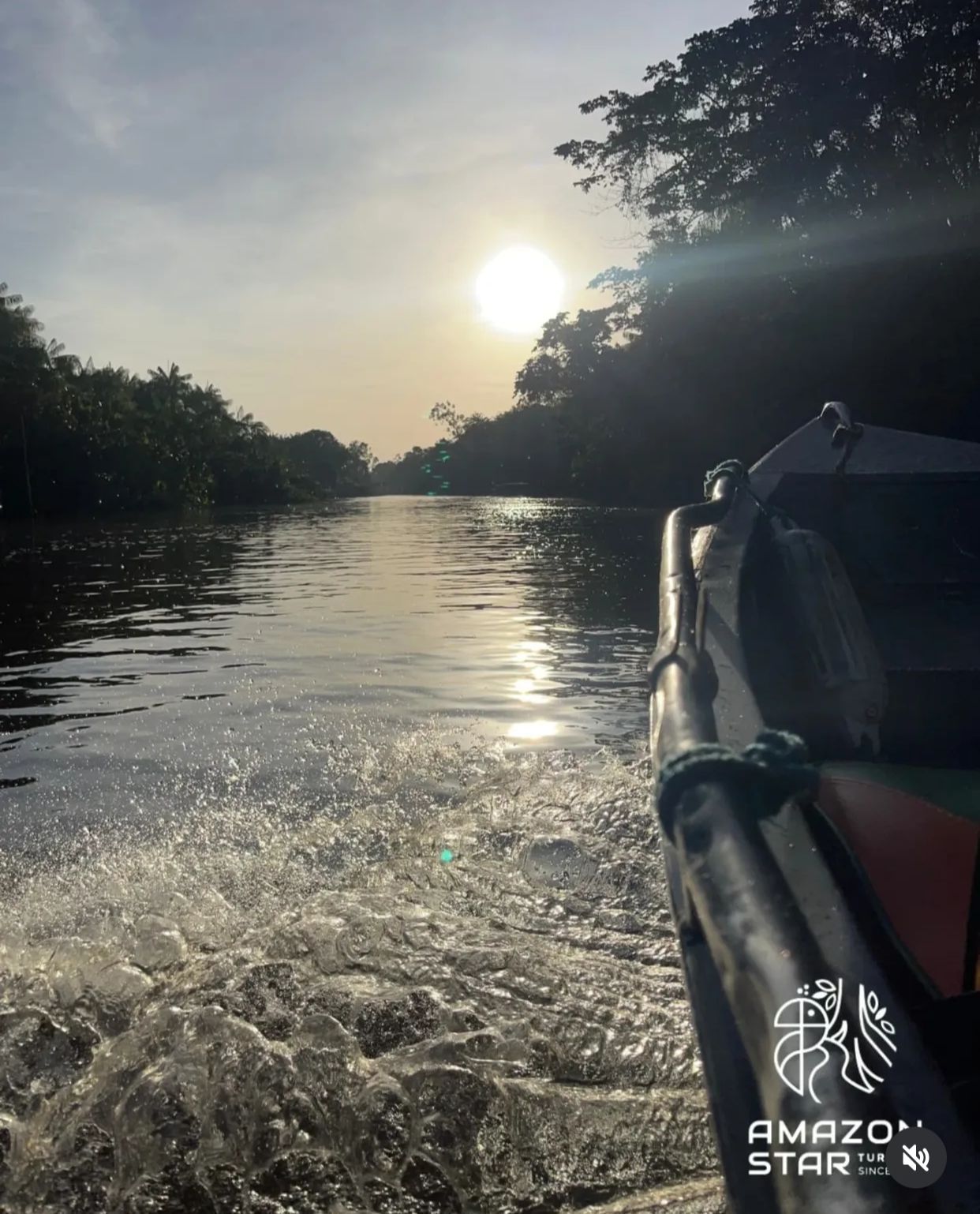 Amazon Star Turismo - Image 8