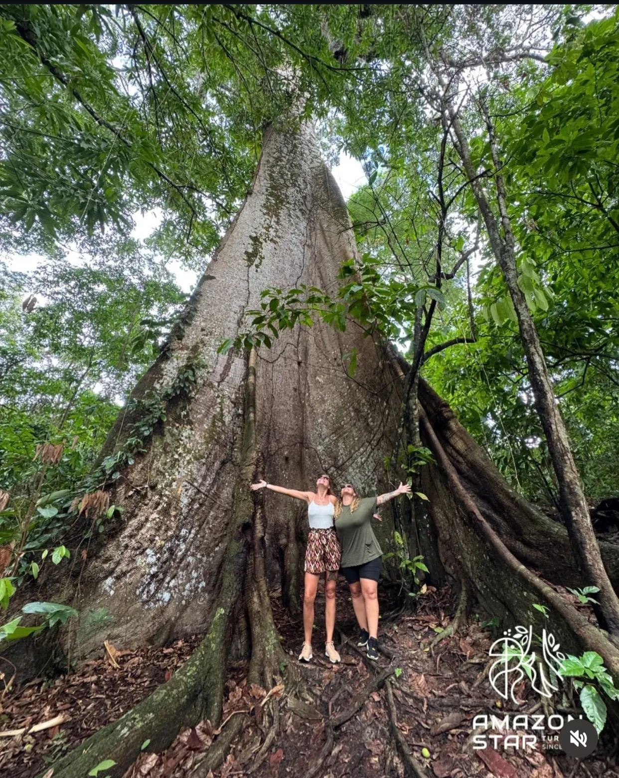 Amazon Star Turismo - Image 10