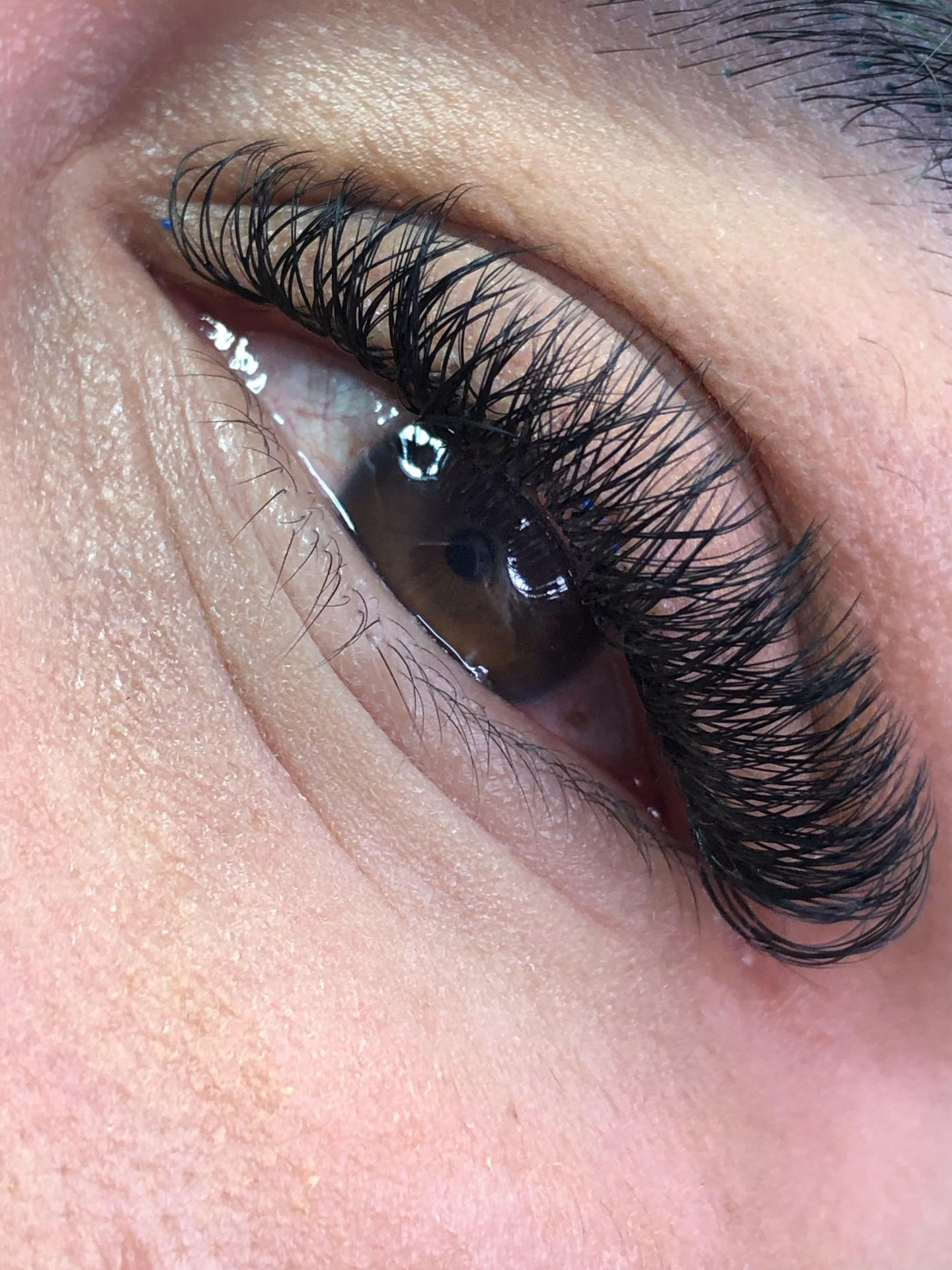 Day Beauty - Image 19
