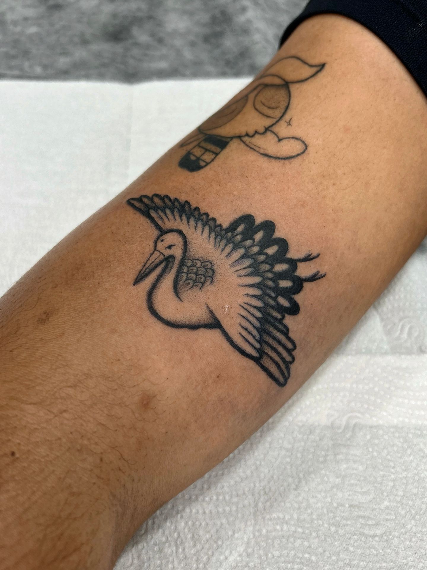 Pico 101 Tattoo - Image 16