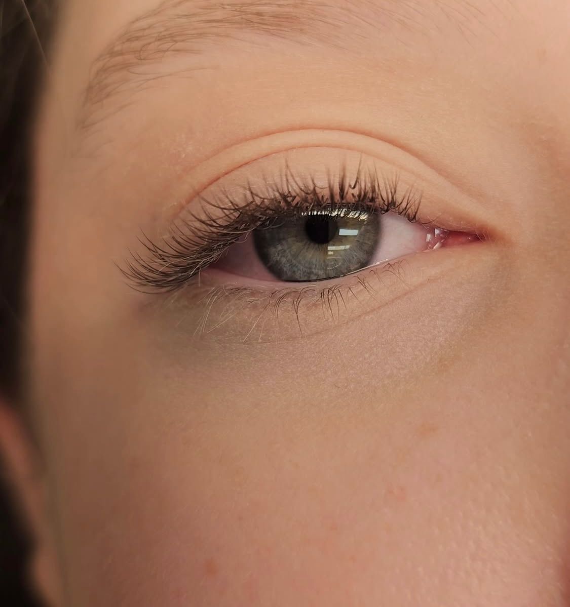 Concept Lash - Image 5