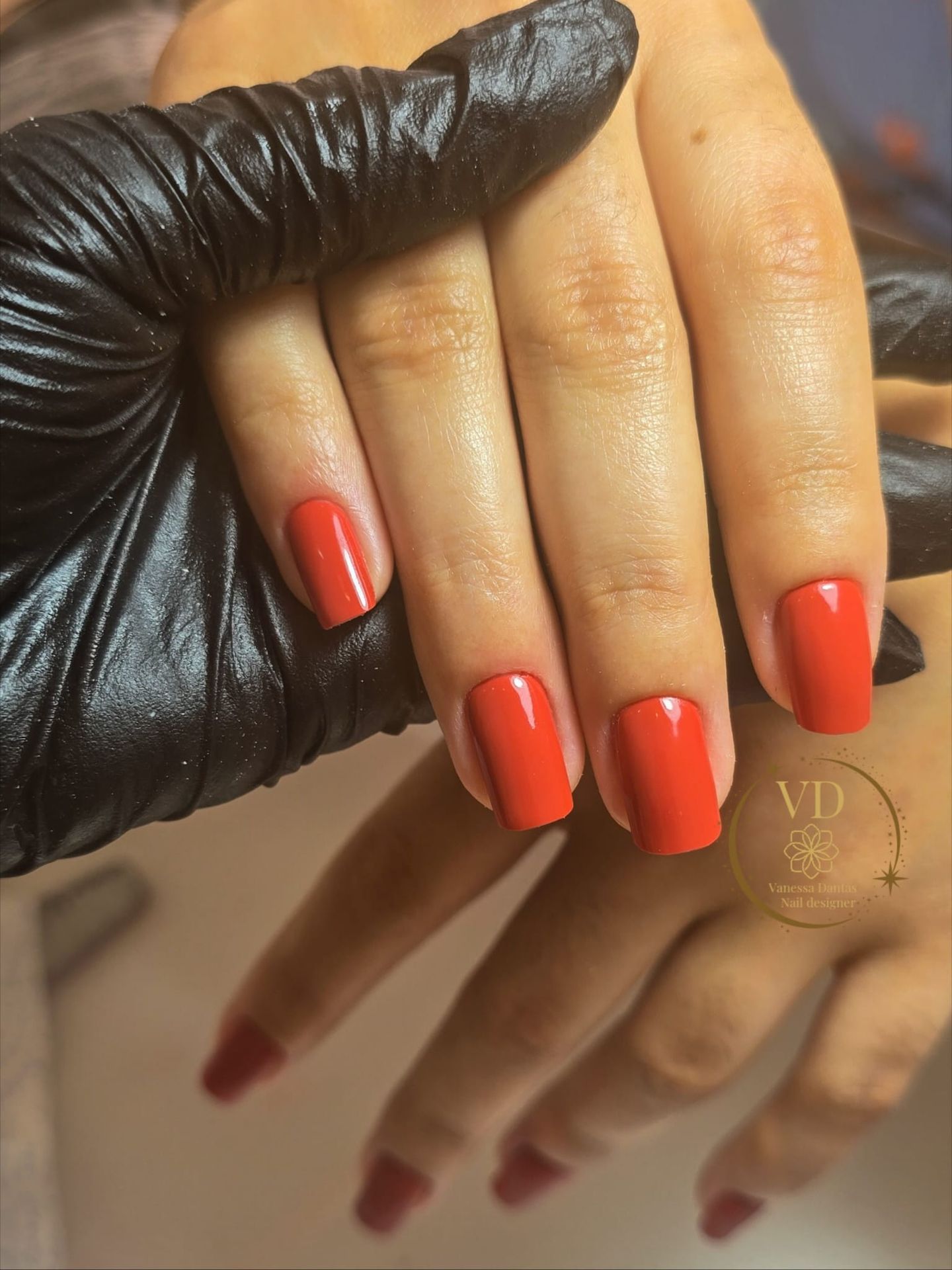 Vanessa Dantas Nail Artist - Image 2