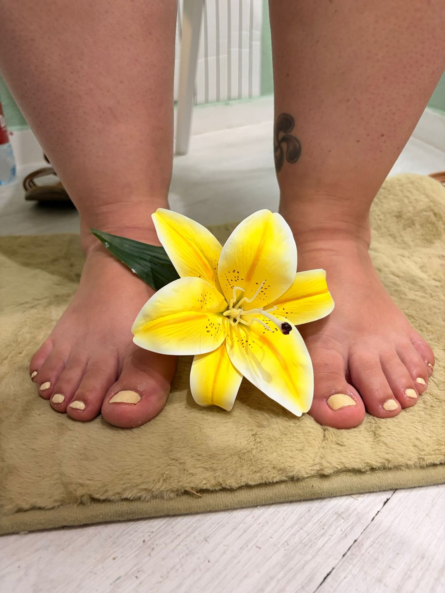 Aracy Gomes Beauty Studio - Image 6