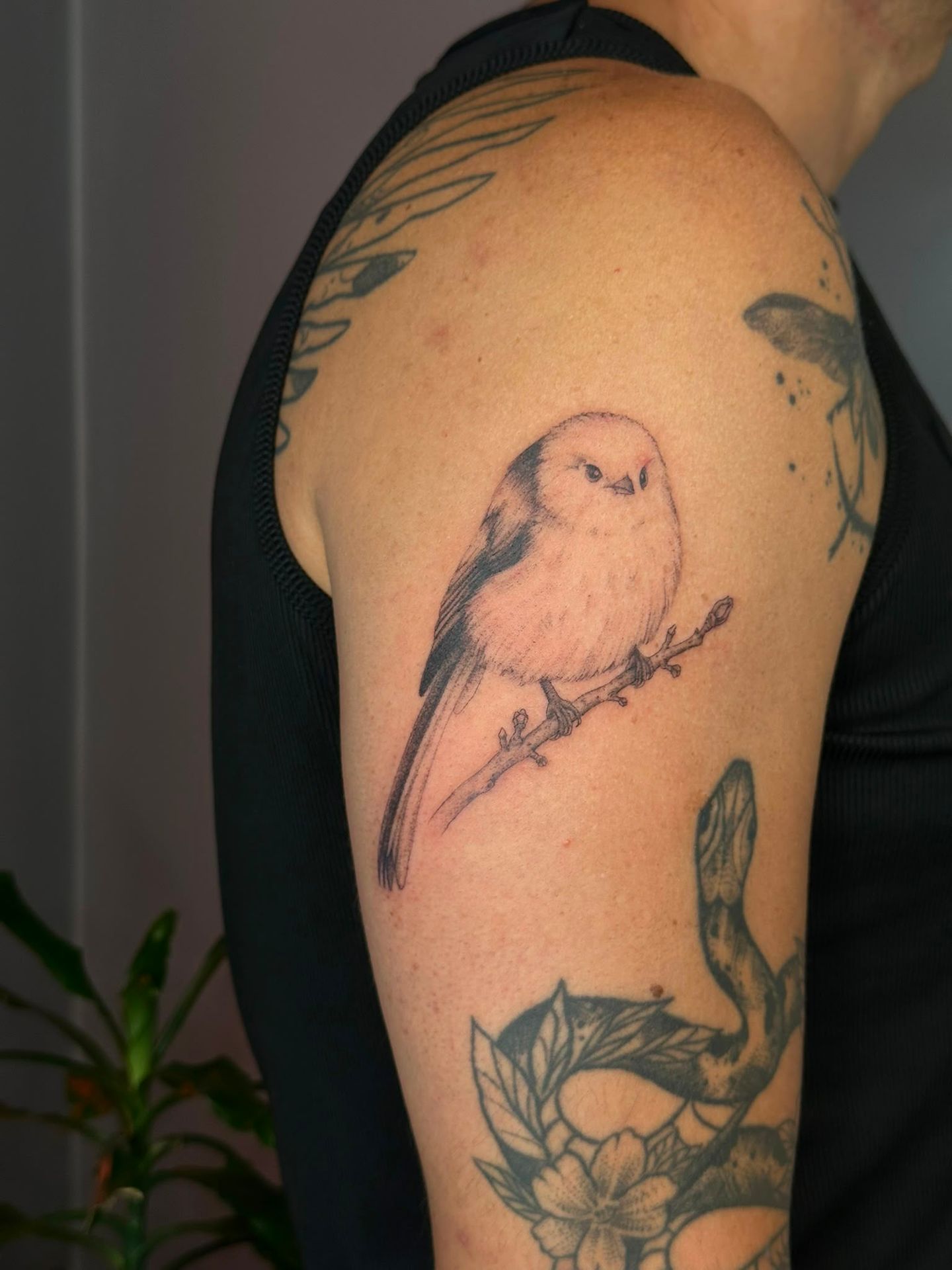 Astrea Tattoo Studio - Rio Tinto - Image 10