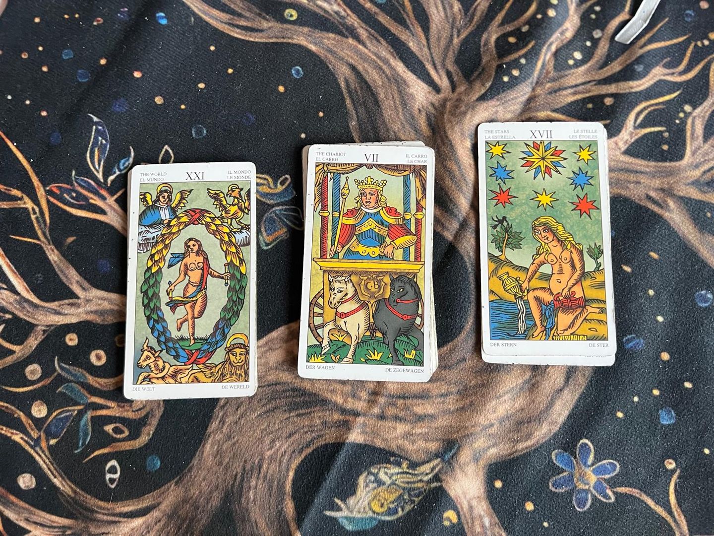 Xana Terapeuta Holística - Image 4
