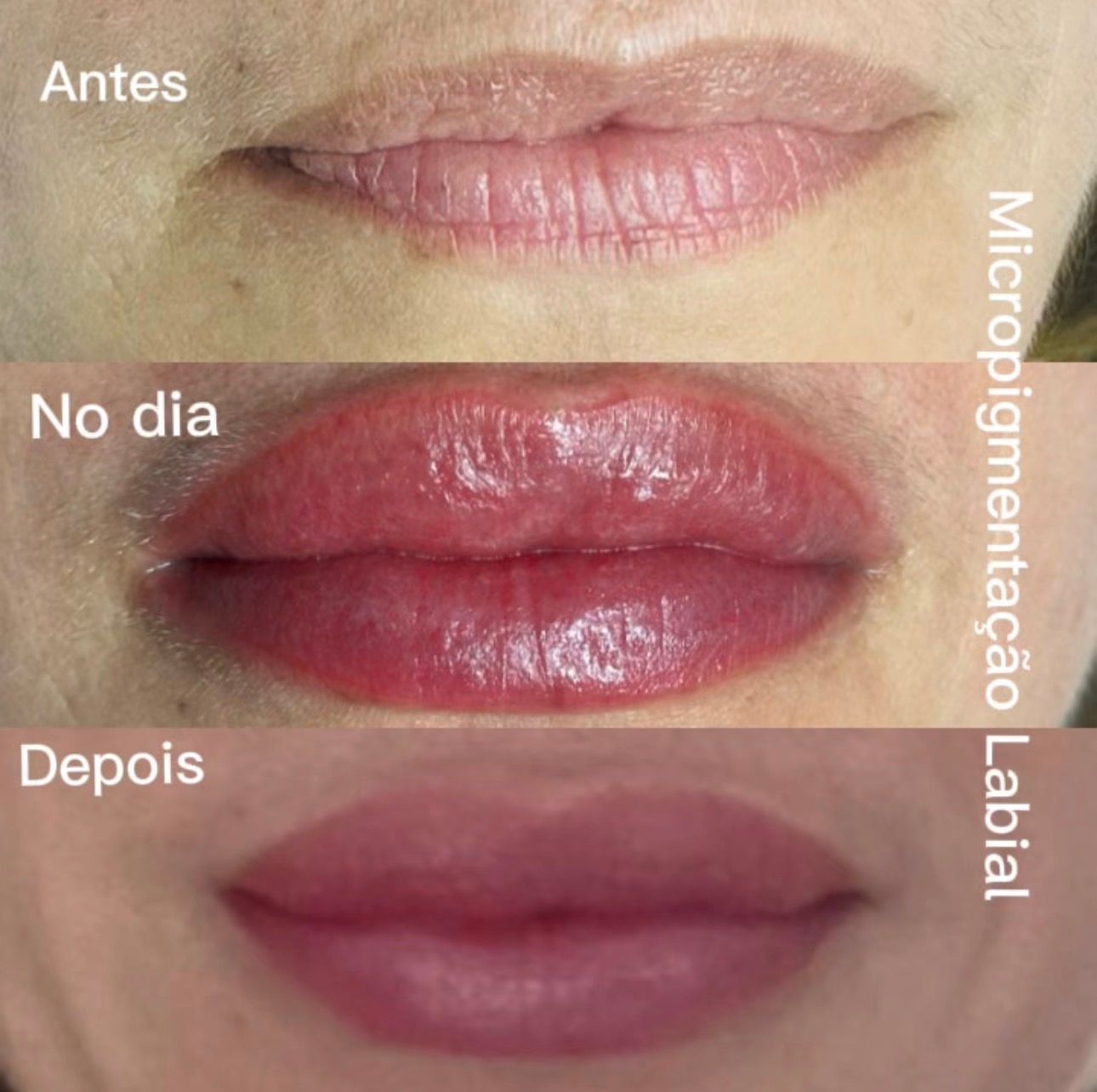 Gislaine Cotta Micropigmentação - Image 7