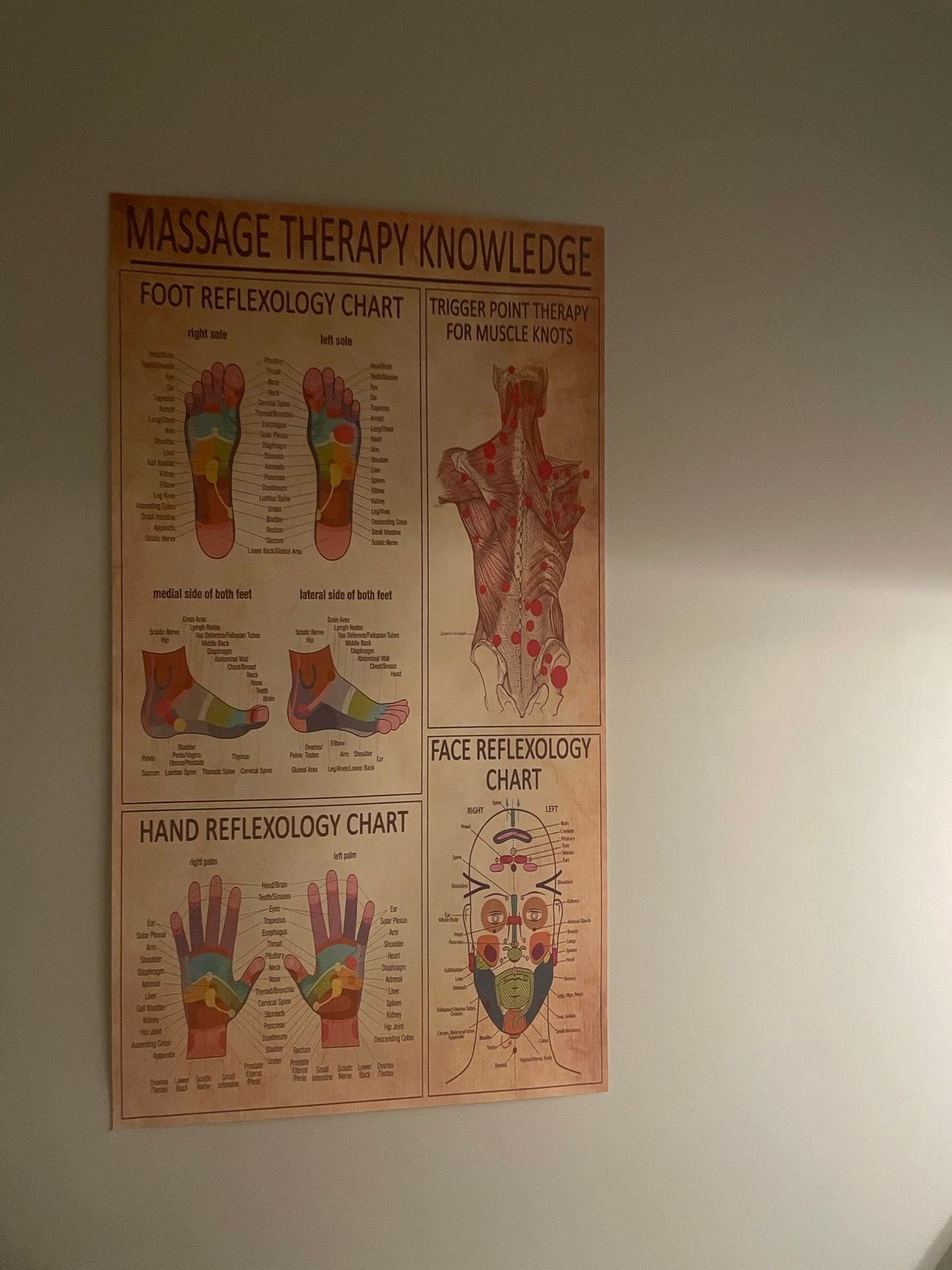 ÓG Esthetics & Health - Image 10