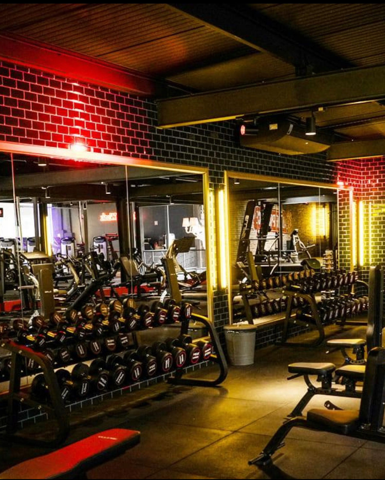 Fitness UP - Vila Nova Gaia - Image 4