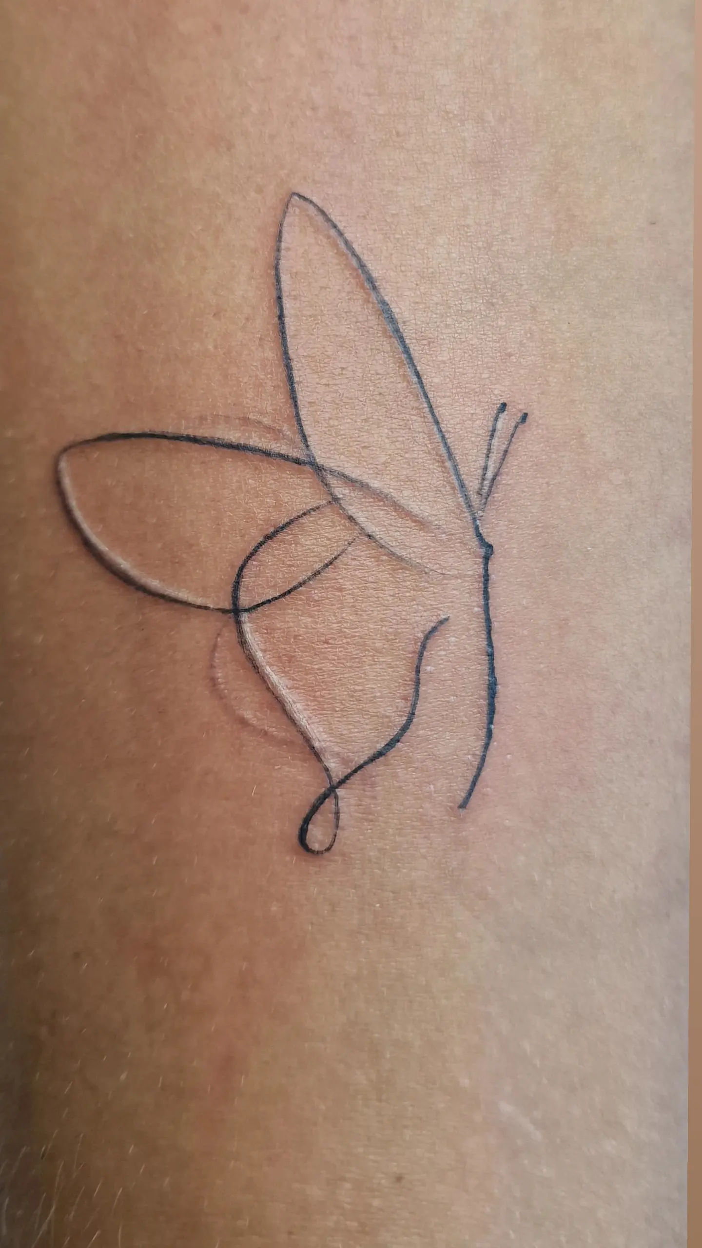 Studio Davi Giby Tattoo - Image 17