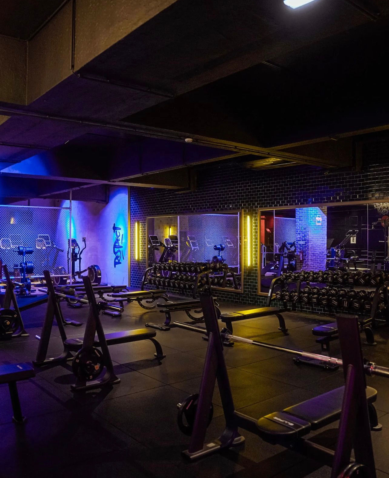 Fitness UP - São Sebastião - Image 10