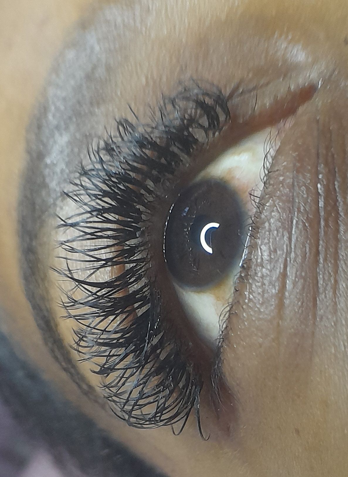 Lash By Abih - Image 9