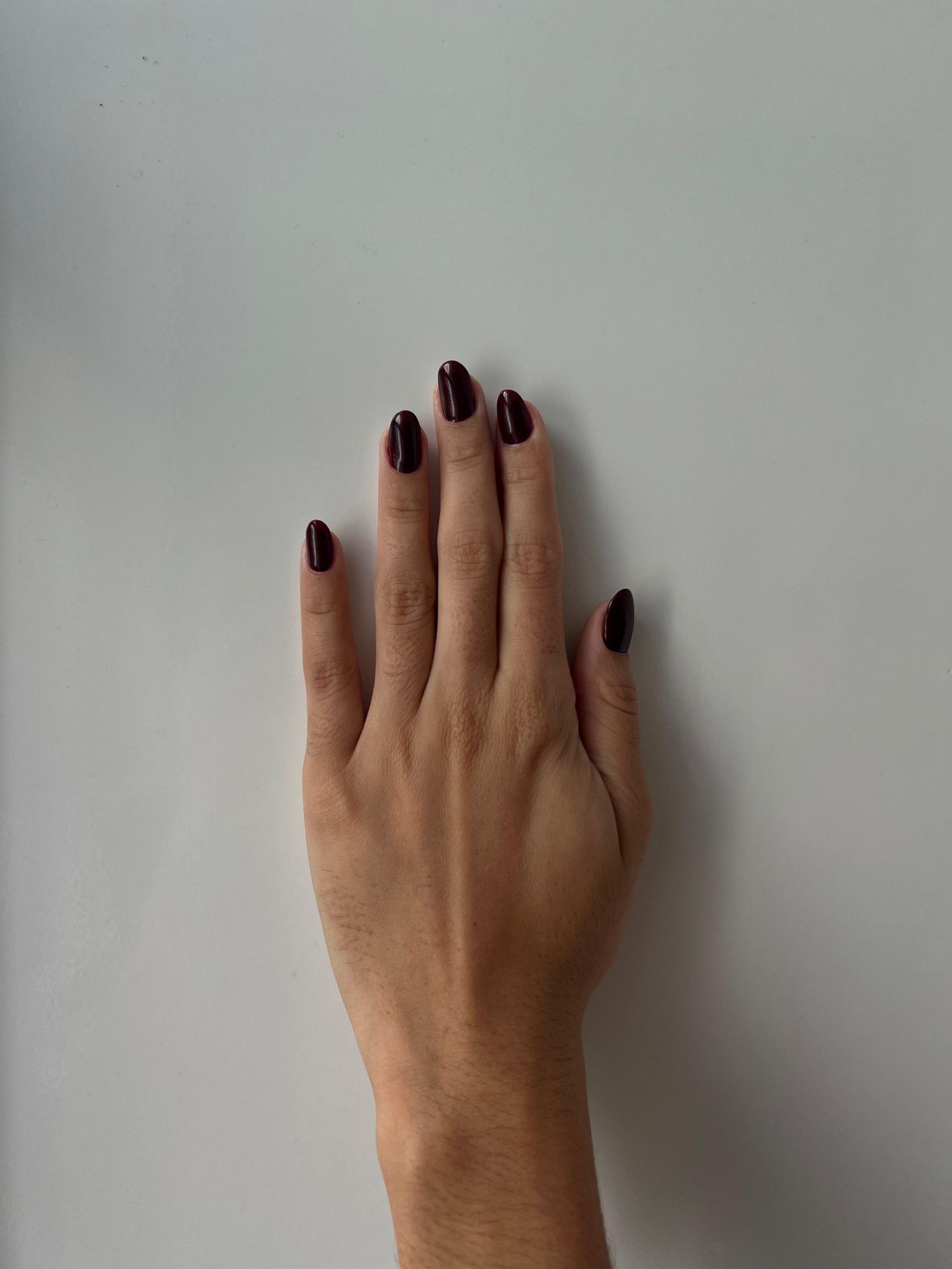 Studio Pâmela Cristiner - Image 17