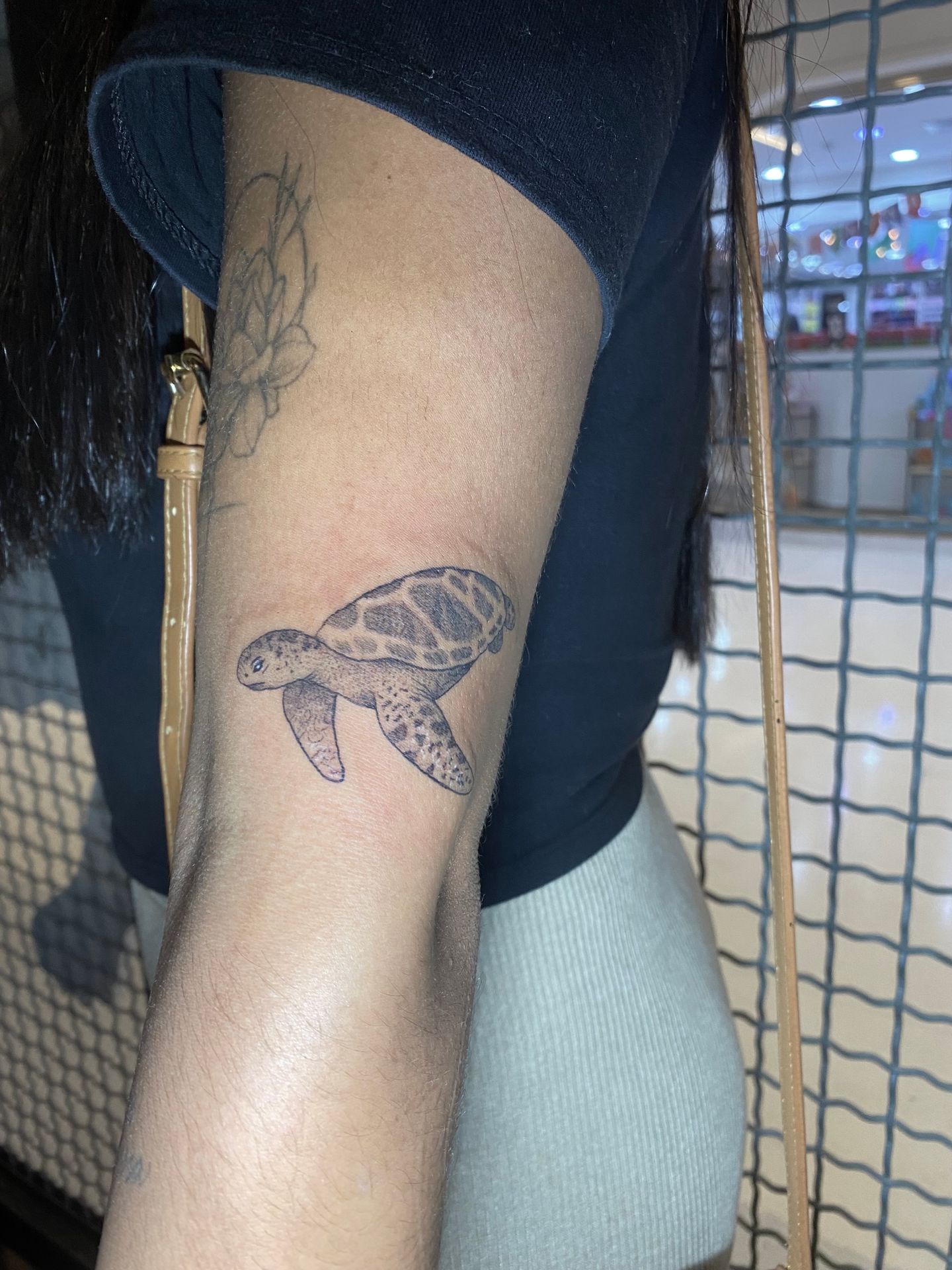 Folivora Tattoo - Nova América - Image 15