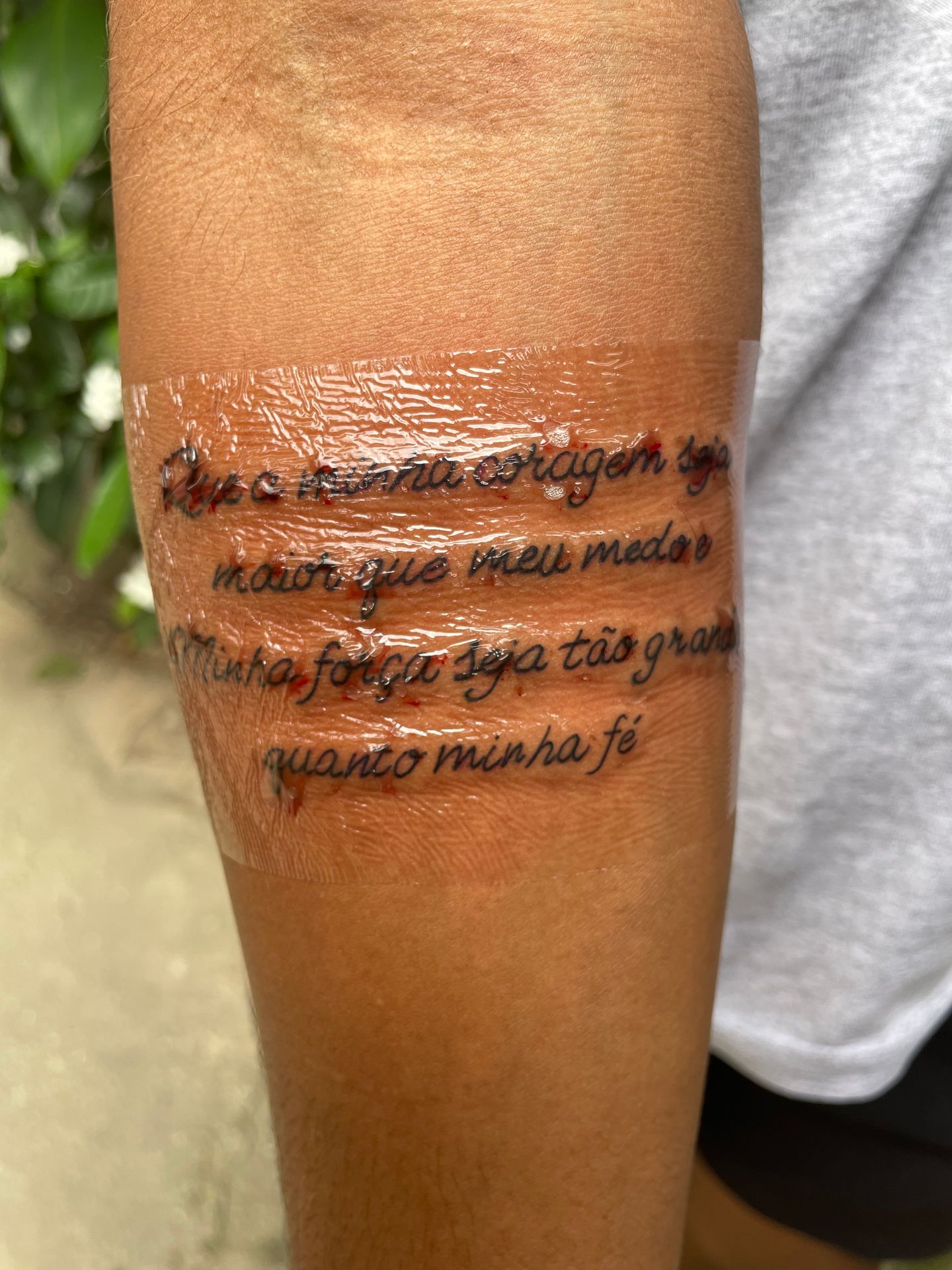Folivora Tattoo - Anchieta - Image 26