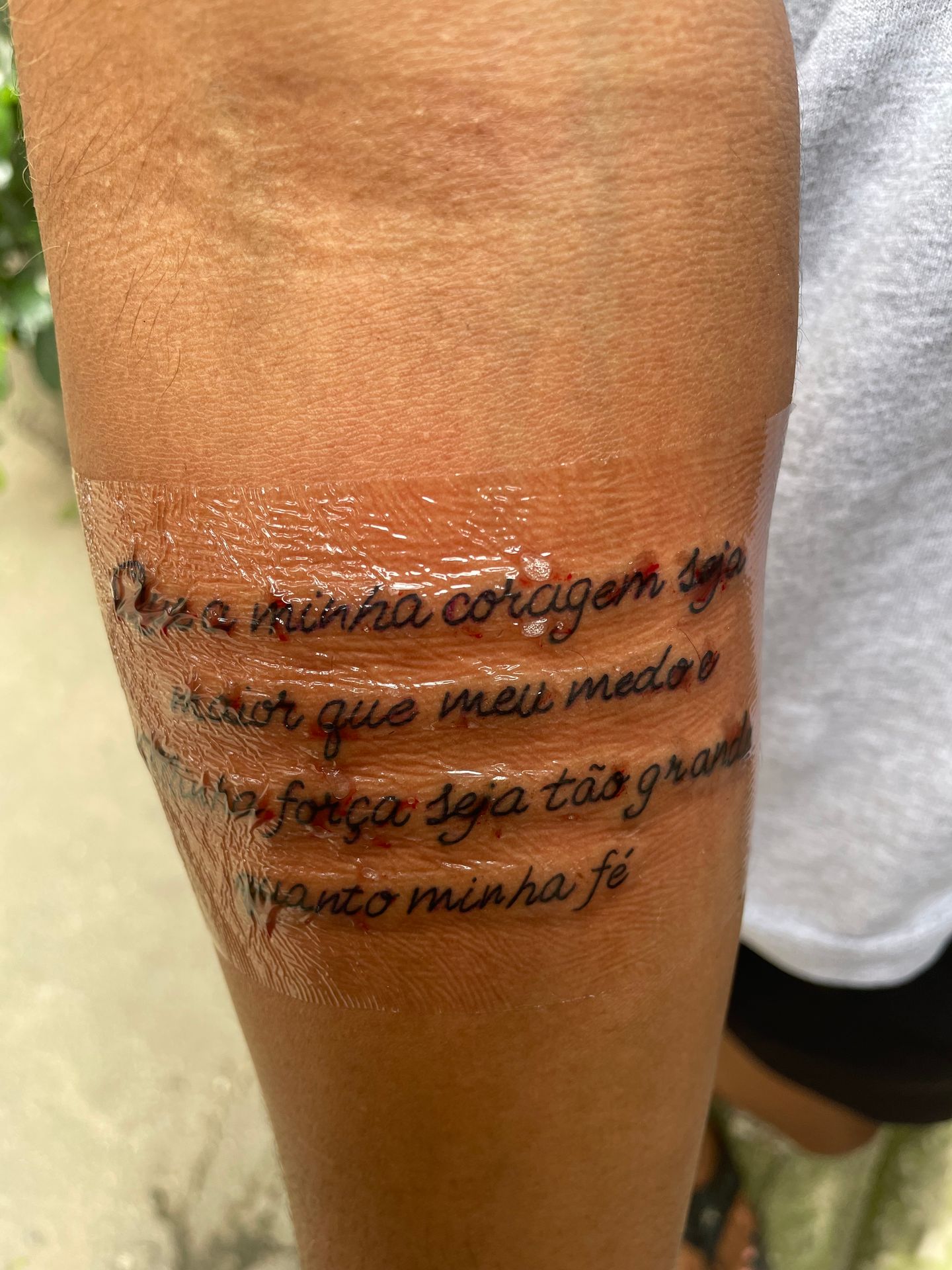 Folivora Tattoo - Anchieta - Image 25