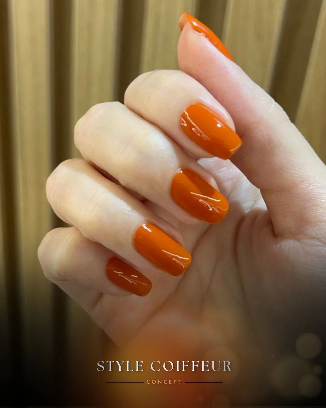 Style Coiffeur Concept - Image 2
