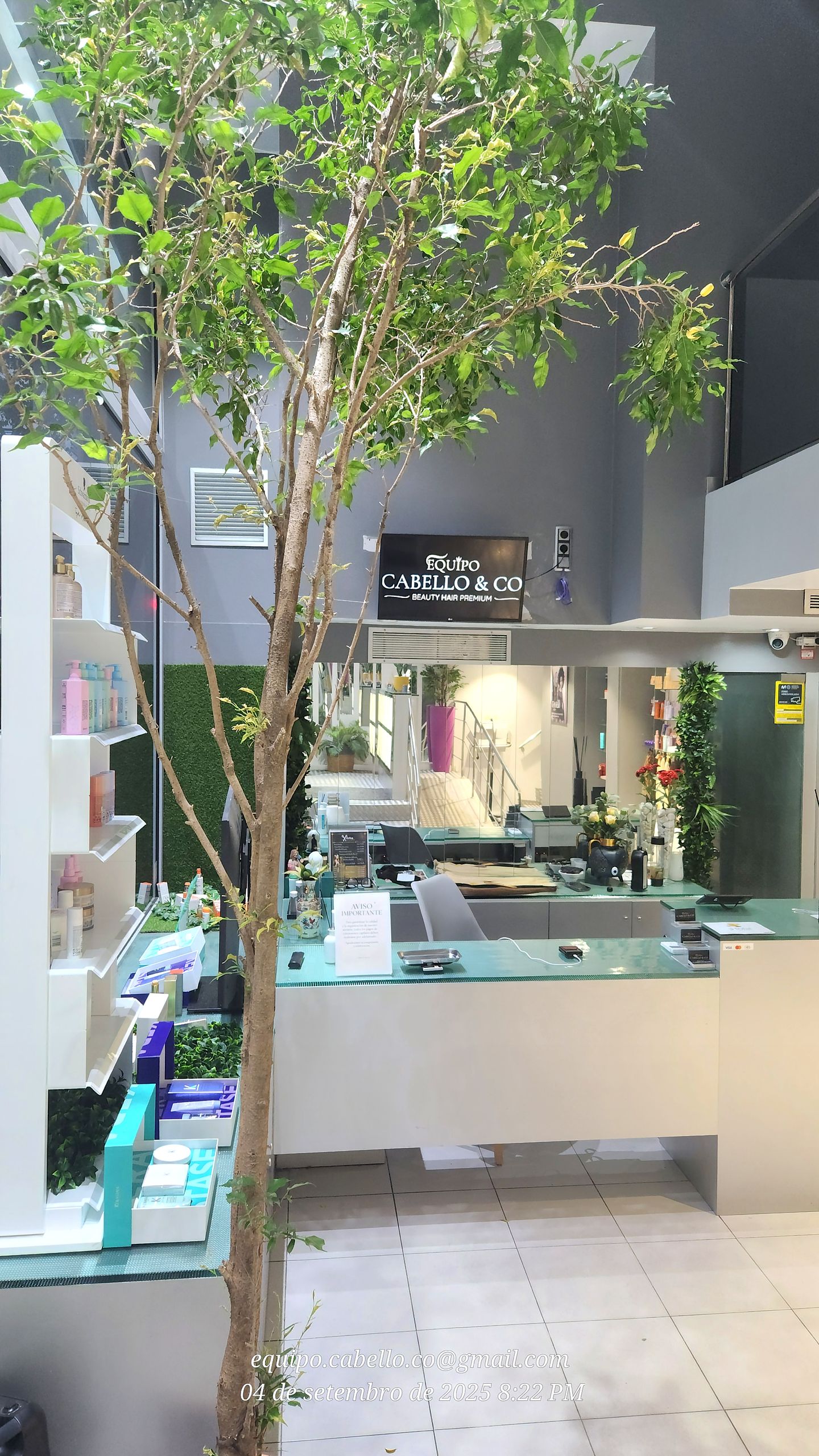EQUIPO-CABELLO & CO - Extensiones, Peluquería y Estética - Image 22