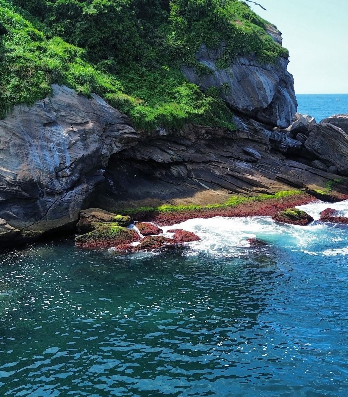 Rio Boat Experience - Image 8