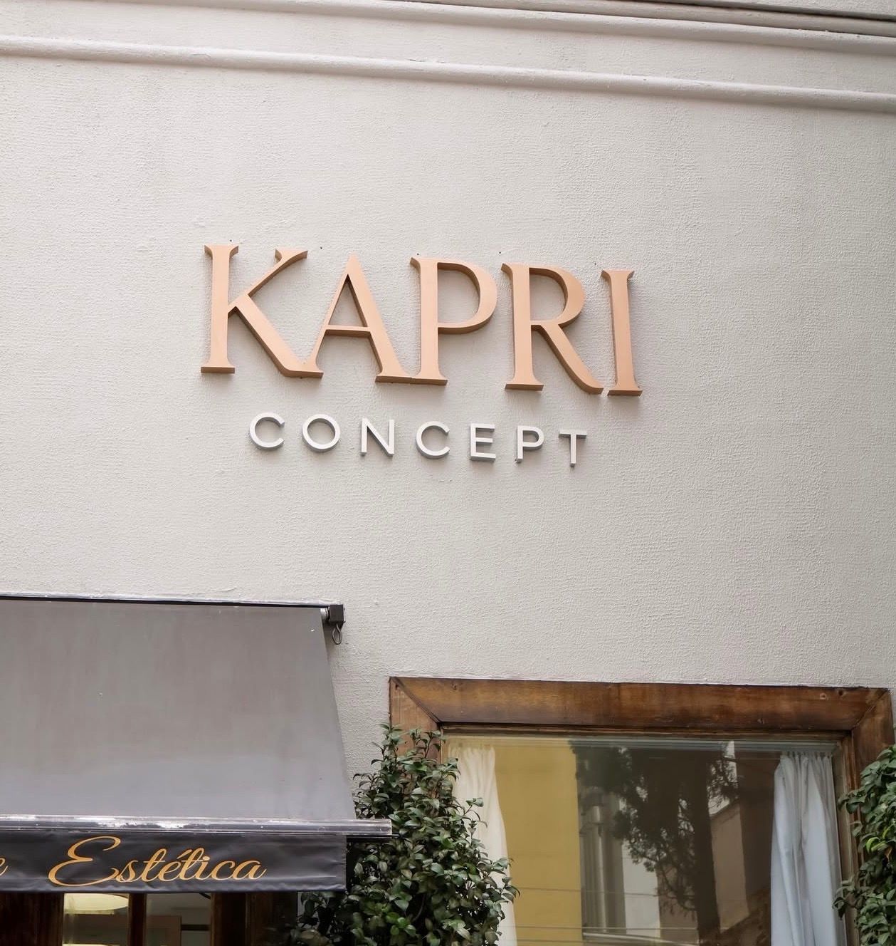 Kapri Concept - Image 10