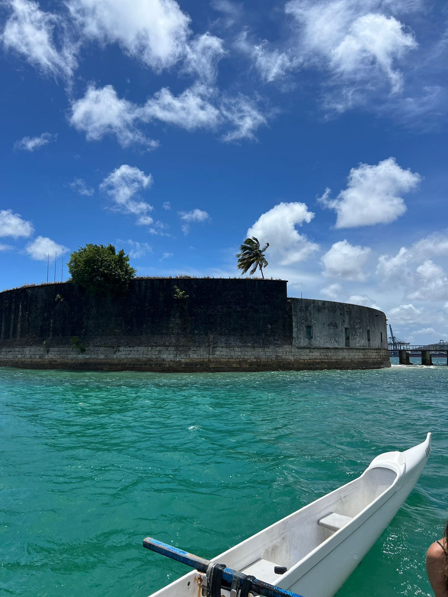 Kaiaulu Va’a Clube de Canoagem - Image 10