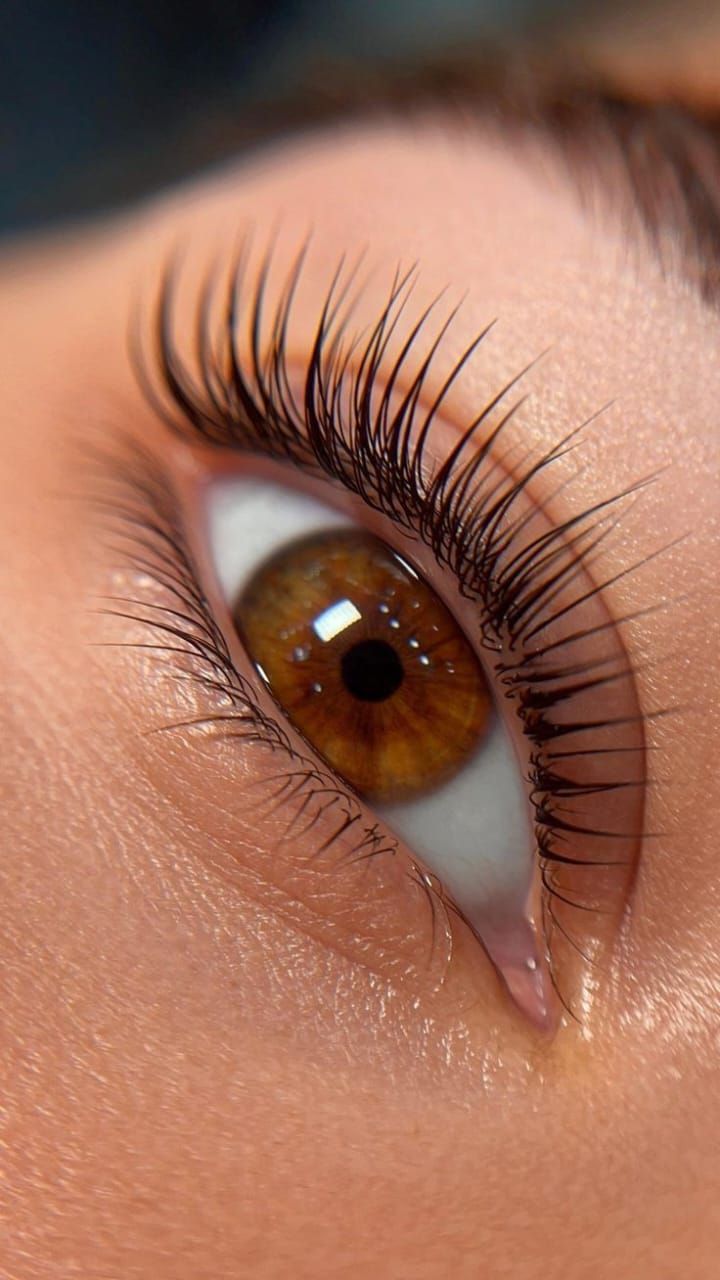 JVBROWS - Image 24