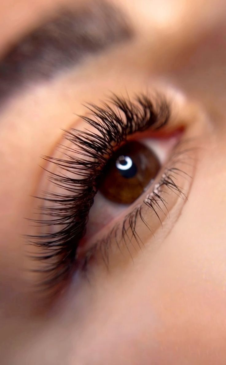 JVBROWS - Image 31