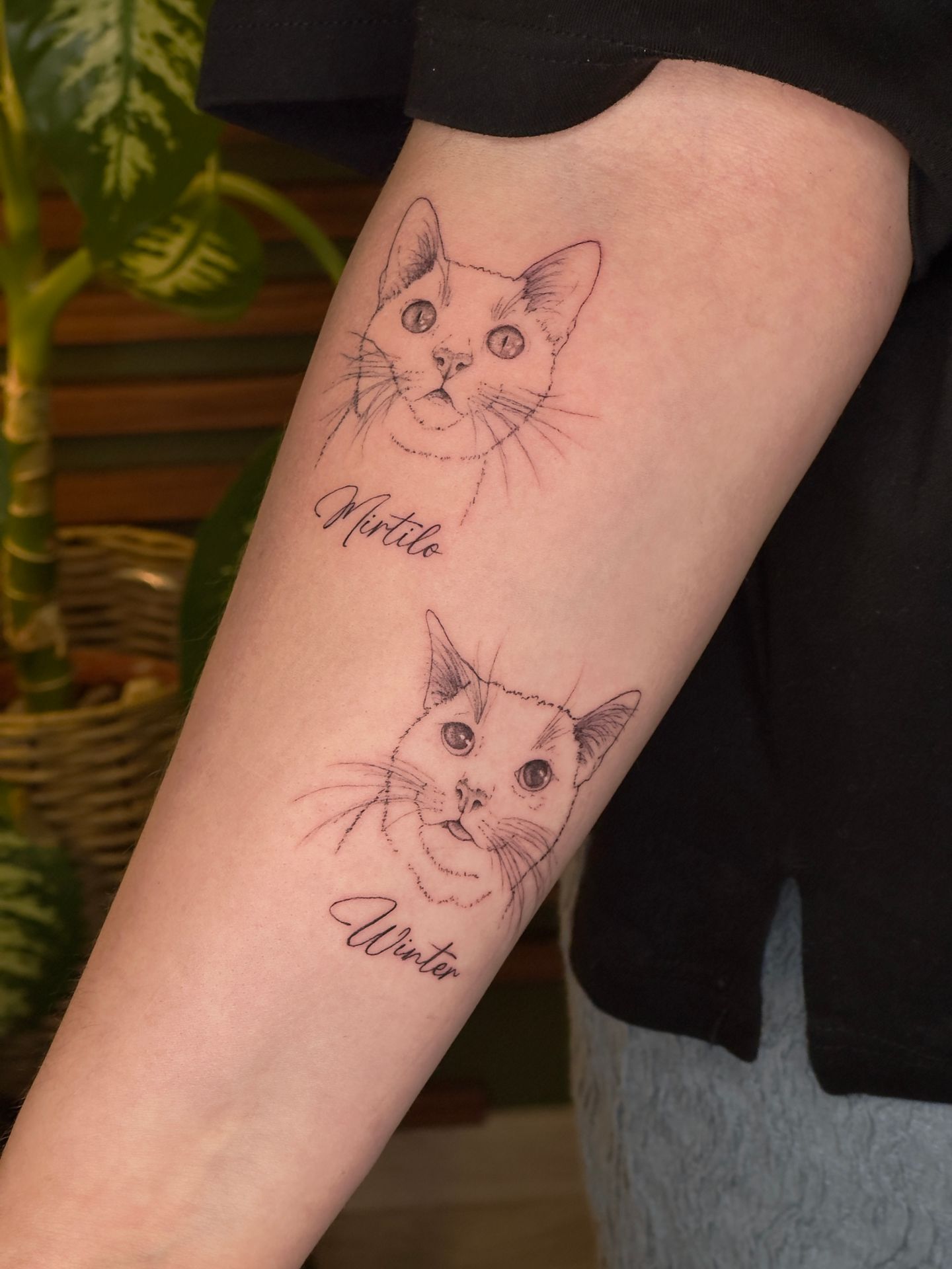 Astrea Tattoo Studio - Rebordosa - Image 15