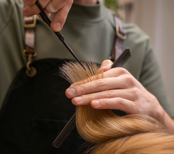Corte