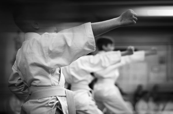 Karate Kyokushin - Diária