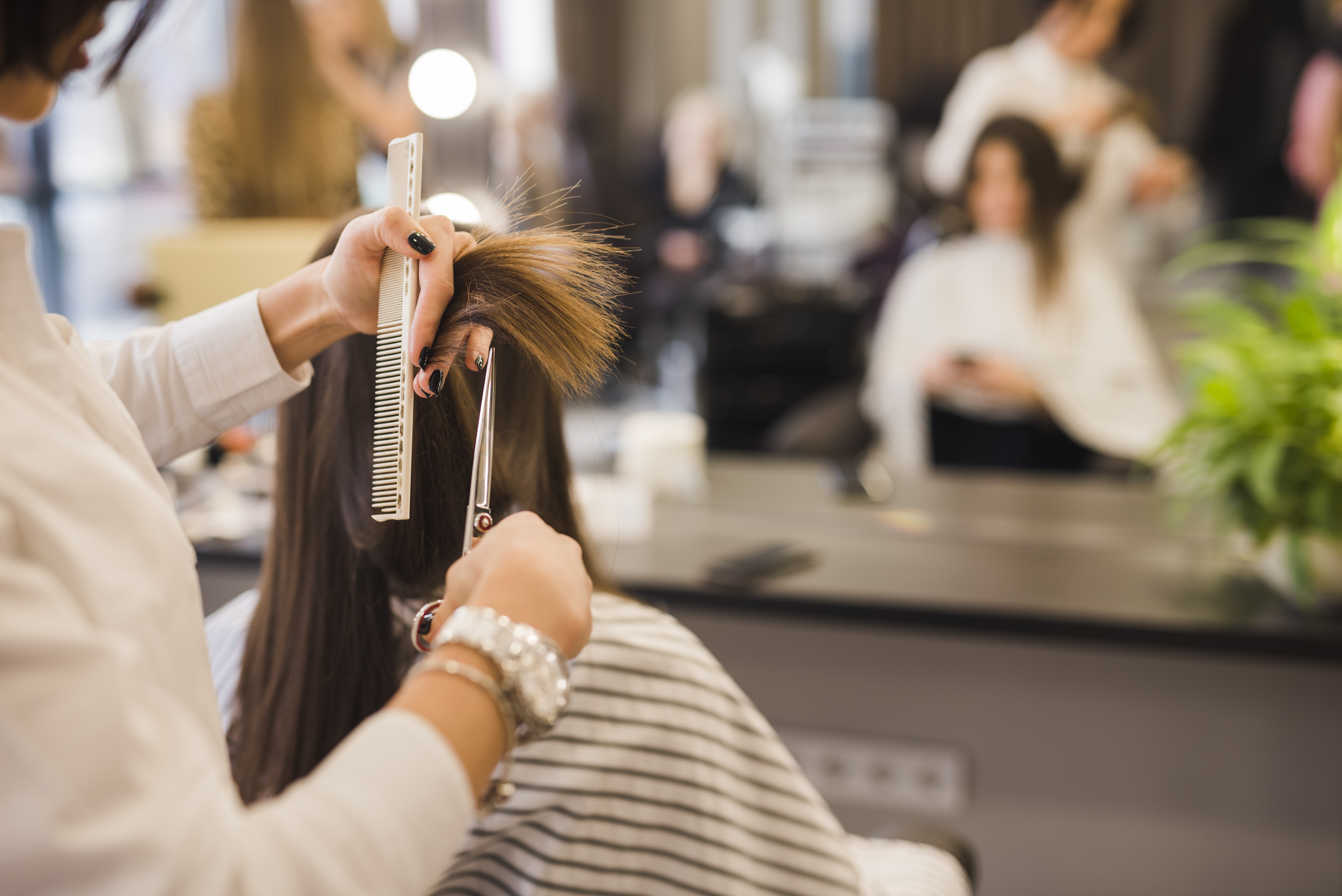Corte