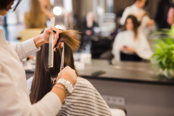 Corte