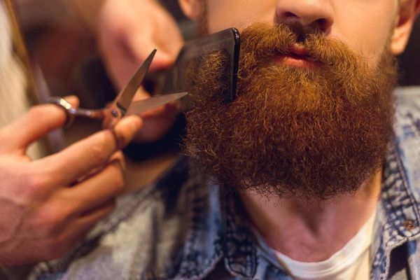 Barba Simples