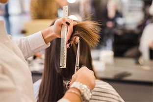 Corte