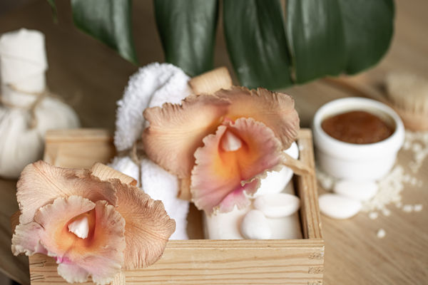 Ritual de Beleza